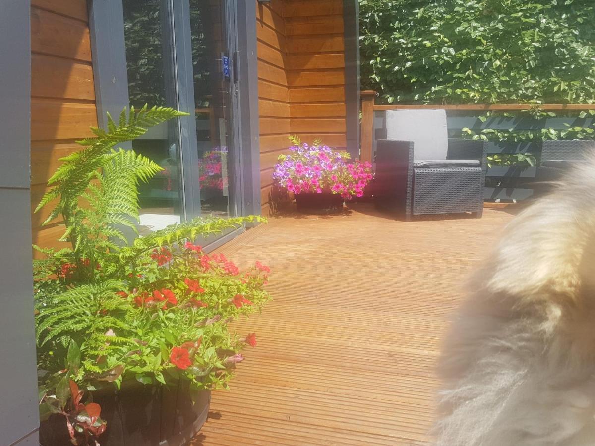 Glamorous Glamping بيل مولت المظهر الخارجي الصورة